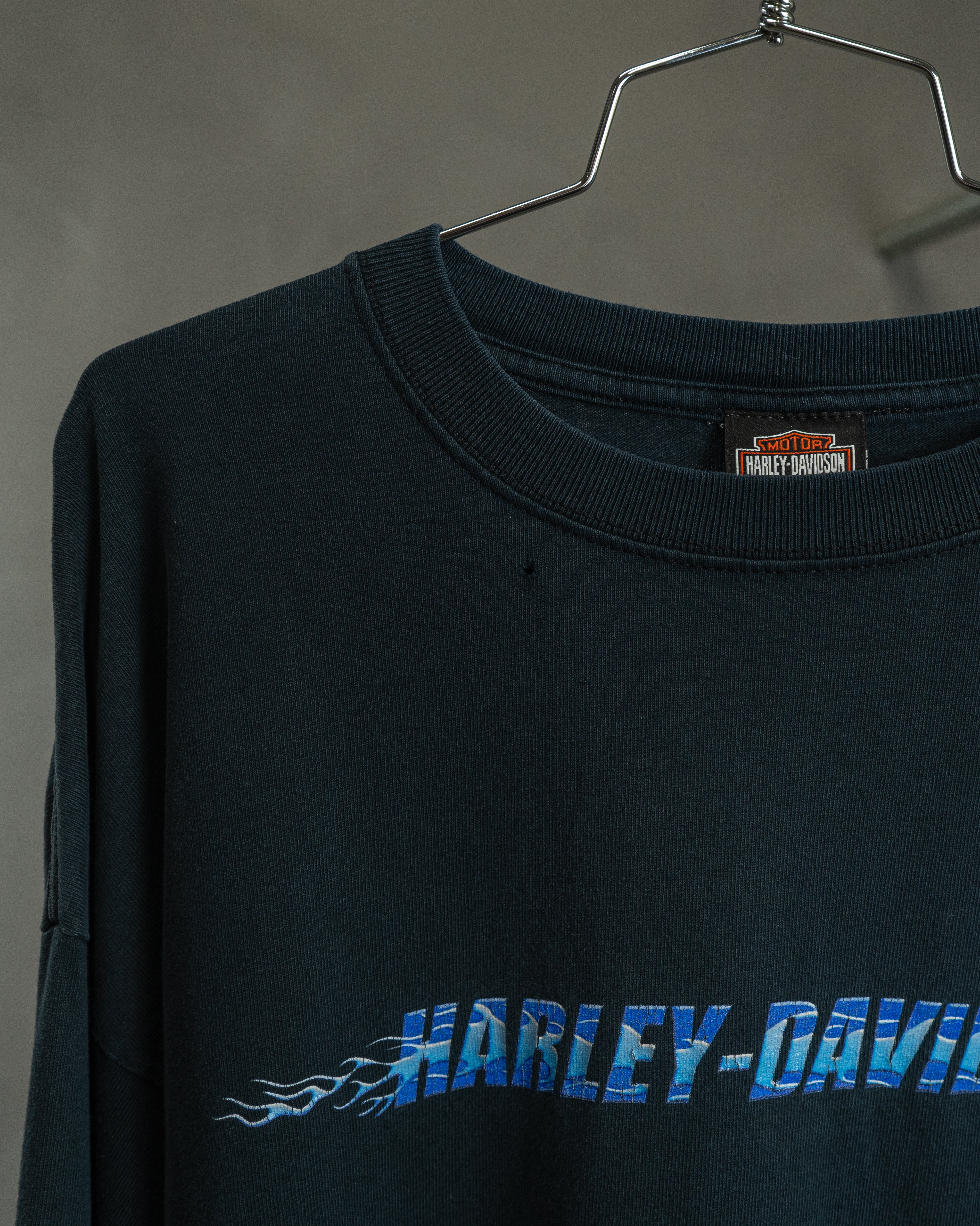 2001 Harley Davidson "Blue Flame" (XX-Large)